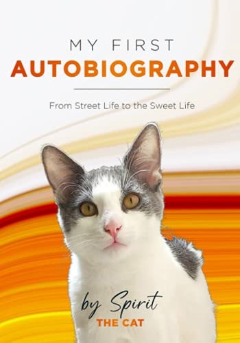 My First Autobiography From Street Life to the Sweet Life