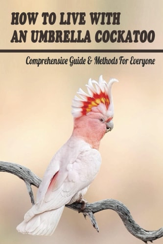 How To Live With An Umbrella Cockatoo Comprehensive Guide & Methods For Everyone: Diet And Nutrition For Cockatoo