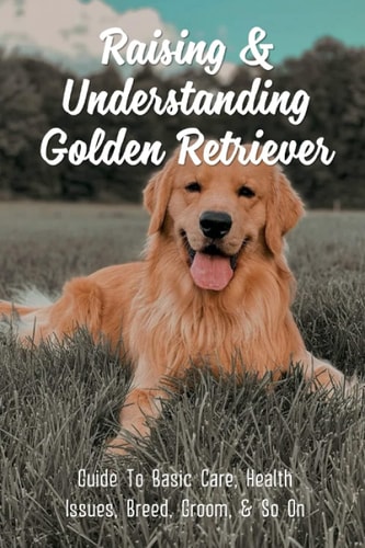 Raising & Understanding Golden Retriever Guide To Basic Care, Health Issues, Breed, Groom, & So On: What Makes A Good Home For A Golden Retriever