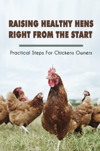 Raising Healthy Hens Right From The Start Practical Steps For Chickens Owners: Chicken Health Issues