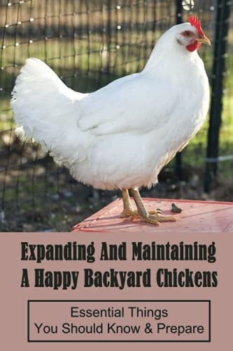 Expanding And Maintaining A Happy Backyard Chickens Essential Things You Should Know & Prepare: How You Can Accommodate Chicken'S Safety And Thermal Comfort