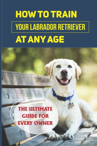 How To Train Your Labrador Retriever At Any Age The Ultimate Guide For Every Owner: Clicker Training Lab Retriever Guide