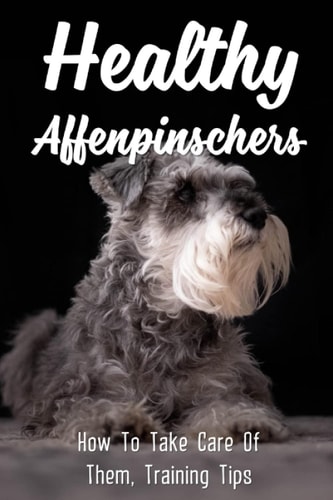 Healthy Affenpinschers How To Take Care Of Them, Training Tips: Supplies To Prepare For Affenpinscher