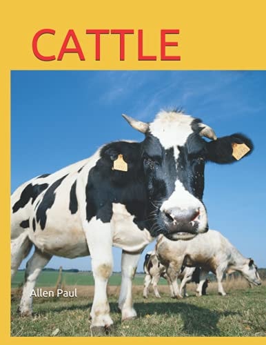 Cattle