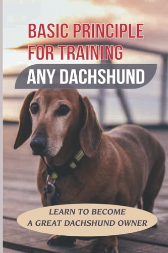 Basic Principle For Training Any Dachshund Learn To Become A Great Dachshund Owner: Teach Your Dachshund To Sit And Stay On Command