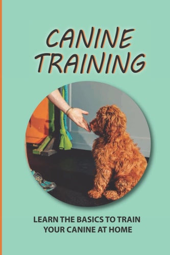 Canine Training Learn The Basics To Train Your Canine At Home: The Training Methods For Canine