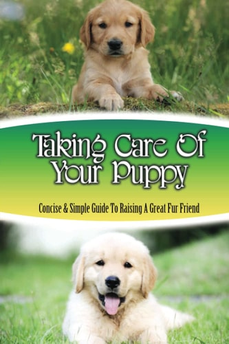 Taking Care Of Your Puppy Concise & Simple Guide To Raising A Great Fur Friend: Dog Training Kindle Store