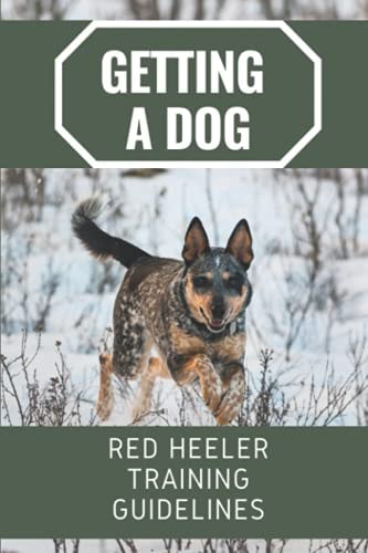 Getting A Dog Red Heeler Training Guidelines: Red Heeler Training Guide Book