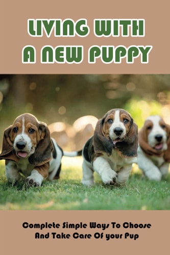 Living With A New Puppy Complete Simple Ways To Choose And Take Care Of Your Pup: The Best Toys For Your Pup