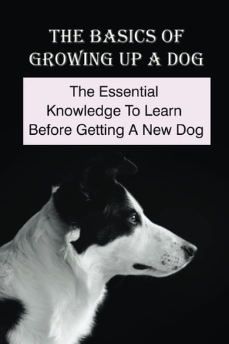 The Basics Of Growing Up A Dog The Essential Knowledge To Learn Before Getting A New Dog: Tips To Raise A Dog