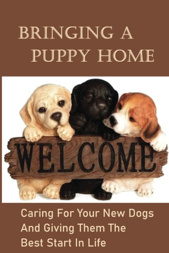 Bringing A Puppy Home Caring For Your New Dogs And Giving Them The Best Start In Life: Raise The Perfect Dog