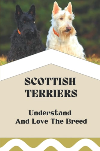 Scottish Terriers Understand And Love The Breed: Scottish Terrier Trainability