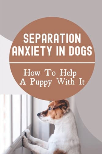 Separation Anxiety In Dogs How To Help A Puppy With It: How To Break A Dog'S Separation Anxiety