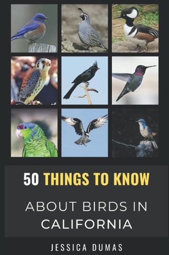 50 Things to Know About Birds in California Birding in the Golden State