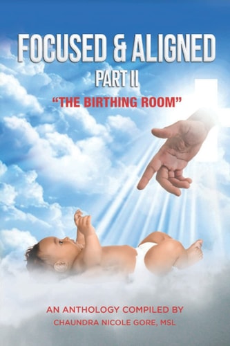 Focused & Aligned Part II The Birthing Room