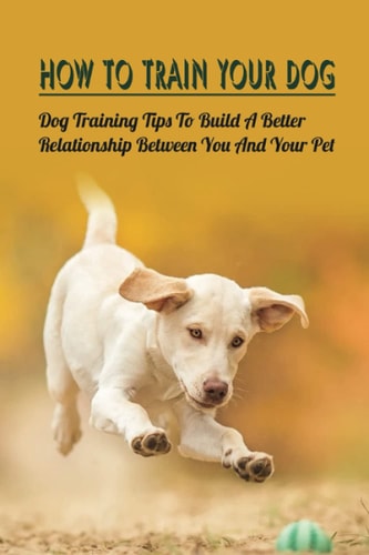 How To Train Your Dog Dog Training Tips To Build A Better Relationship Between You And Your Pet: Housebreak A Puppy
