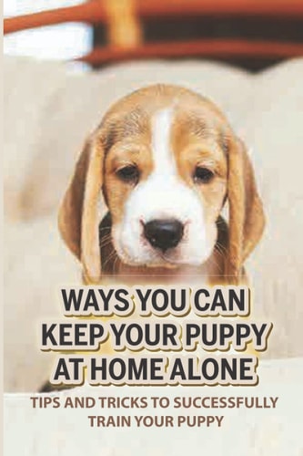 Ways You Can Keep Your Puppy At Home Alone Tips And Tricks To Successfully Train Your Puppy: How To Teach A Dog To Stay Home Alone