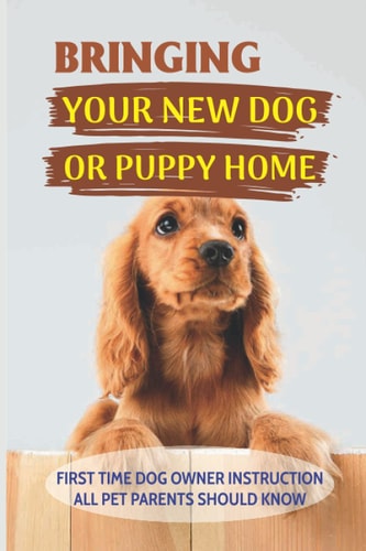 Bringing Your New Dog Or Puppy Home First Time Dog Owner Instruction All Pet Parents Should Know: What Kind Of Food Your Dogs Are Into