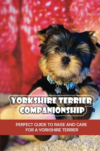 Yorkshire Terrier Companionship Perfect Guide To Raise And Care For A Yorkshire Terrier: Tips For Raising A Yorkie