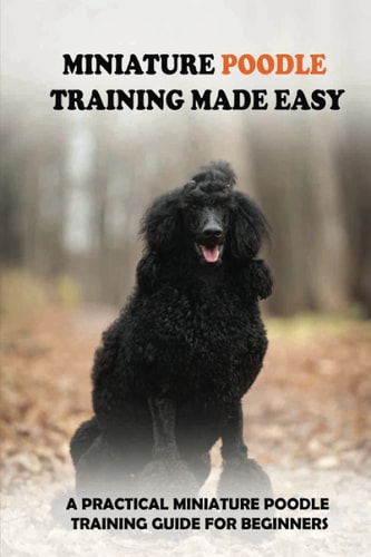 Miniature Poodle Training Made Easy A Practical Miniature Poodle Training Guide For Beginners: Miniature Poodle Training Commands