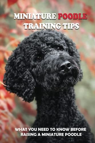 Miniature Poodle Training Tips What You Need To Know Before Raising A Miniature Poodle: How To Raise A Well-Trained Miniature Poodle