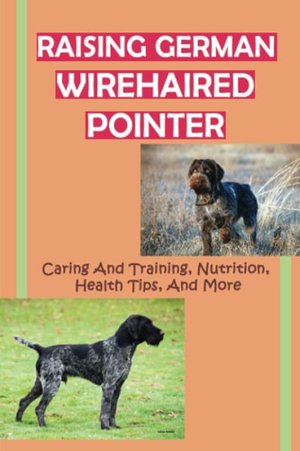 Raising German Wirehaired Pointer Caring And Training, Nutrition, Health Tips, And More: How To Raise A German Wirehaired Pointer
