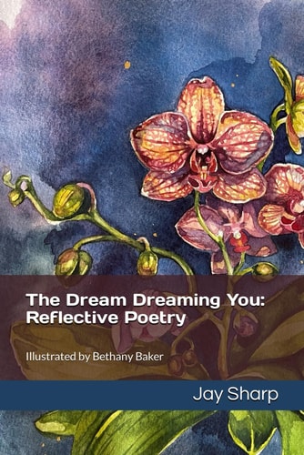 The Dream Dreaming You Reflective Poetry