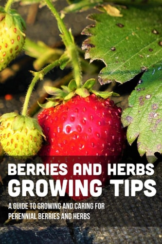 Berries And Herbs Growing Tips A Guide To Growing And Caring For Perennial Berries And Herbs: Guide To Growing Perennial Herbs
