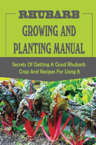 Rhubarb Growing And Planting Manual Secrets Of Getting A Good Rhubarb Crop And Recipes For Using It: When To Plant Rhubarb