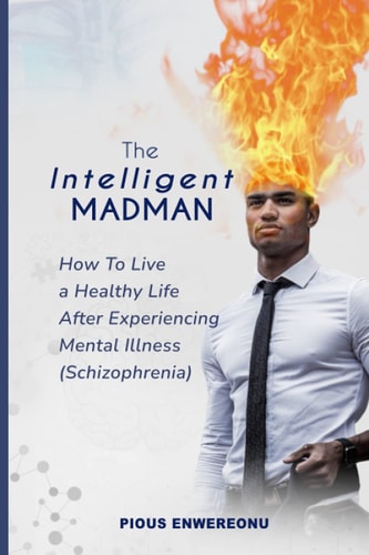 The Intelligent Madman How to Live a Healthy Life After Experiencing Mental Illness [Schizophrenia]