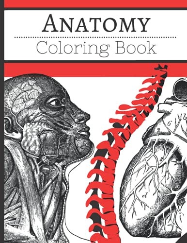 Human Anatomy Coloring Book Anatomy Coloring Book for Kids and Adults Human Body Parts