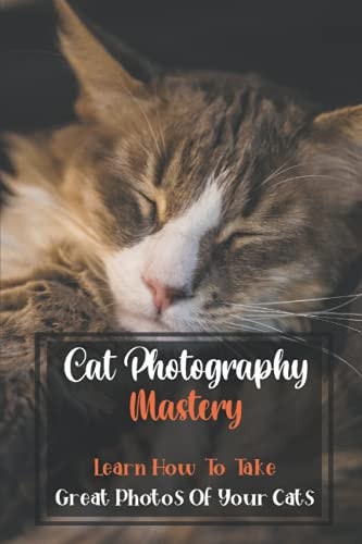 Cat Photography Mastery Learn How To Take Great Photos Of Your Cats: Cat Photographs