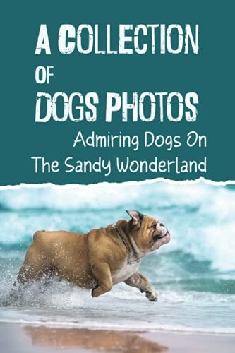 A Collection Of Dogs Photos Admiring Dogs On The Sandy Wonderland: Cute Dog Pictures