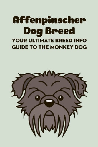 Affenpinscher Dog Breed Your Ultimate Breed Info Guide to The Monkey Dog: Affenpinscher Dog Breed Information and Personality Traits
