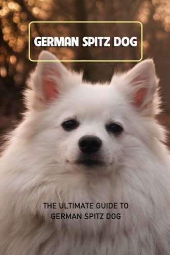 German Spitz Dog The Ultimate Guide To German Spitz Dog: Everything You Need to Know About German Spitz Dog