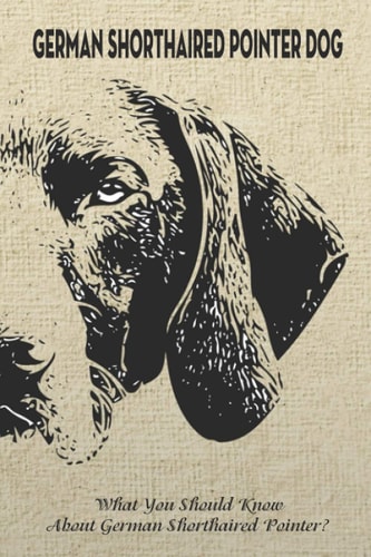 German Shorthaired Pointer Dog What You Should Know About German Shorthaired Pointer?: How Well You Know about German Shorthaired Pointer Dog?