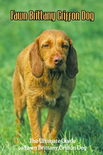 Fawn Brittany Griffon Dog The Ultimate Guide to Fawn Brittany Griffon Dog: A Guide to Fawn Brittany Griffon Dog Training