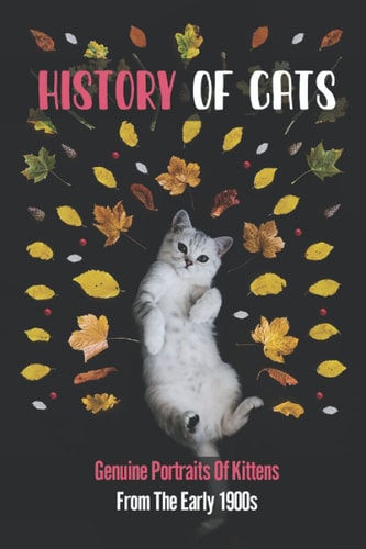 History Of Cats Genuine Portraits Of Kittens From The Early 1900s: Cats In Dresses
