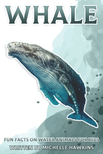 WHALE Fun Facts on Water Animals for Kids #8