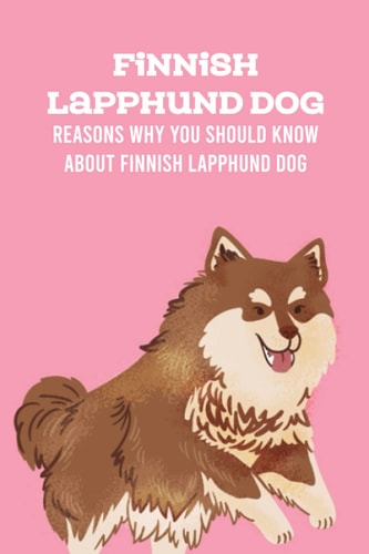 Finnish Lapphund Dog Reasons Why You Should Know About Finnish Lapphund Dog: Finnish Lapphund Dog Breed Information, Characteristics & Heath Problems