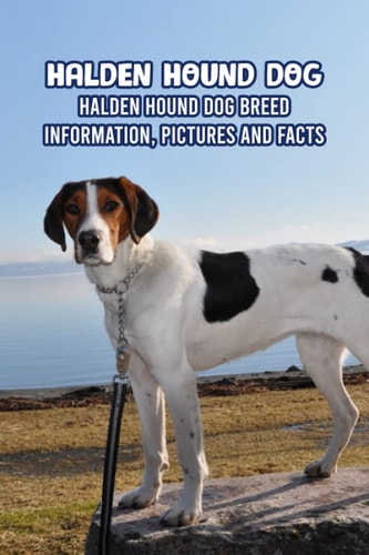 Halden Hound Dog Halden Hound Dog Breed Information, Pictures and Facts: Halden Hound Dog Guide Book