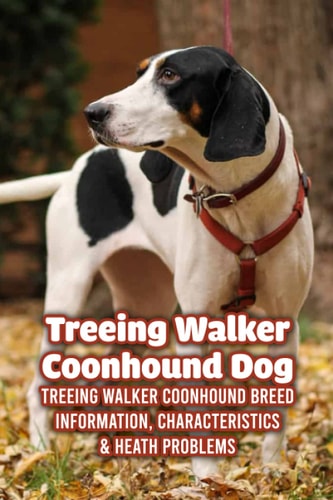 Treeing Walker Coonhound Dog Treeing Walker Coonhound Breed Information, Characteristics & Heath Problems: Fun Information You Should Know About Treeing Walker Coonhound Dog