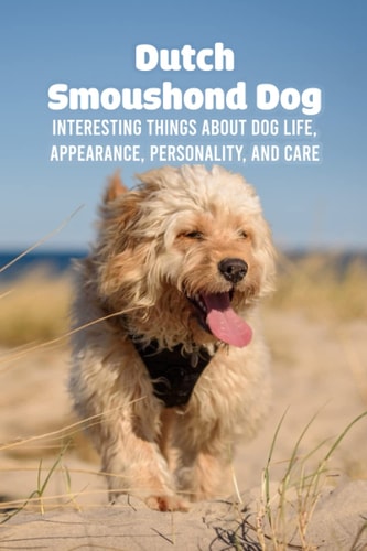 Dutch Smoushond Dog Interesting Things About Dog Life, Appearance, Personality, and Care: Health Instructions Dutch Smoushond Dog