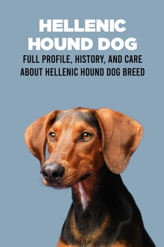 Hellenic Hound Dog Full Profile, History, and Care About Hellenic Hound Dog Breed: Learn About Hellenic Hound Dog