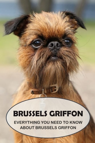 Brussels Griffon Everything You Need to Know About Brussels Griffon: Brussels Griffon Dog Breed Pictures