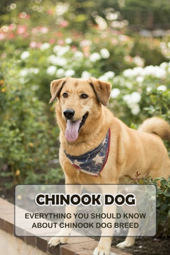 Chinook Dog Everything You Should Know About Chinook Dog Breed: Things You Didn't Know about the Chinook Dog