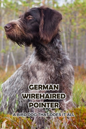 German Wirehaired Pointer A Bird Dog That Does It All: The Ultimate Guide To German Wirehaired Pointer