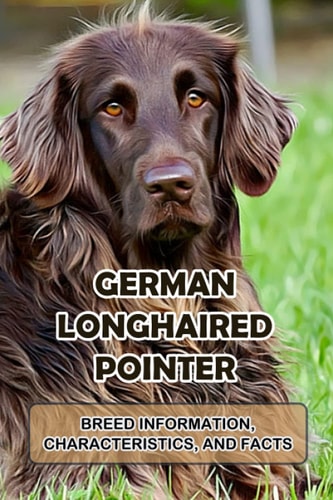 German Longhaired Pointer Breed Information, Characteristics, and Facts: The Ultimate Guide To German Longhaired Pointer