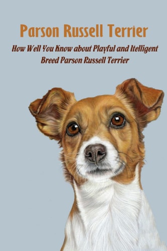 Parson Russell Terrier How Well You Know about Playful and Itelligent Breed Parson Russell Terrier: Parson Russell Terrier Full Profile, History and Care
