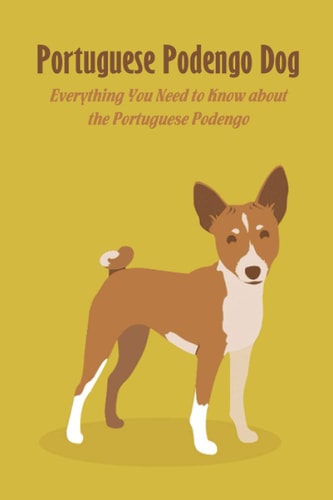 Portuguese Podengo Dog Everything You Need to Know about the Portuguese Podengo: Portuguese Podengo Dog Breed Facts, Highlights and Buying